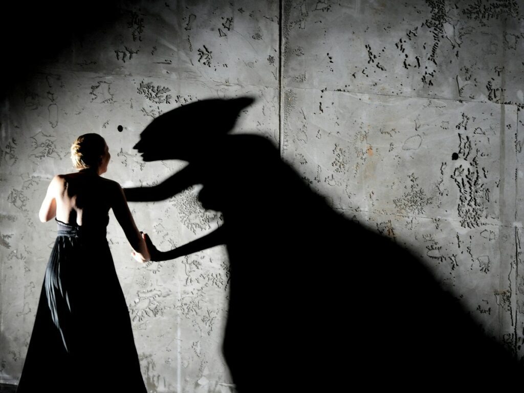 A person facing a menacing shadow resembling a monster on a wall.